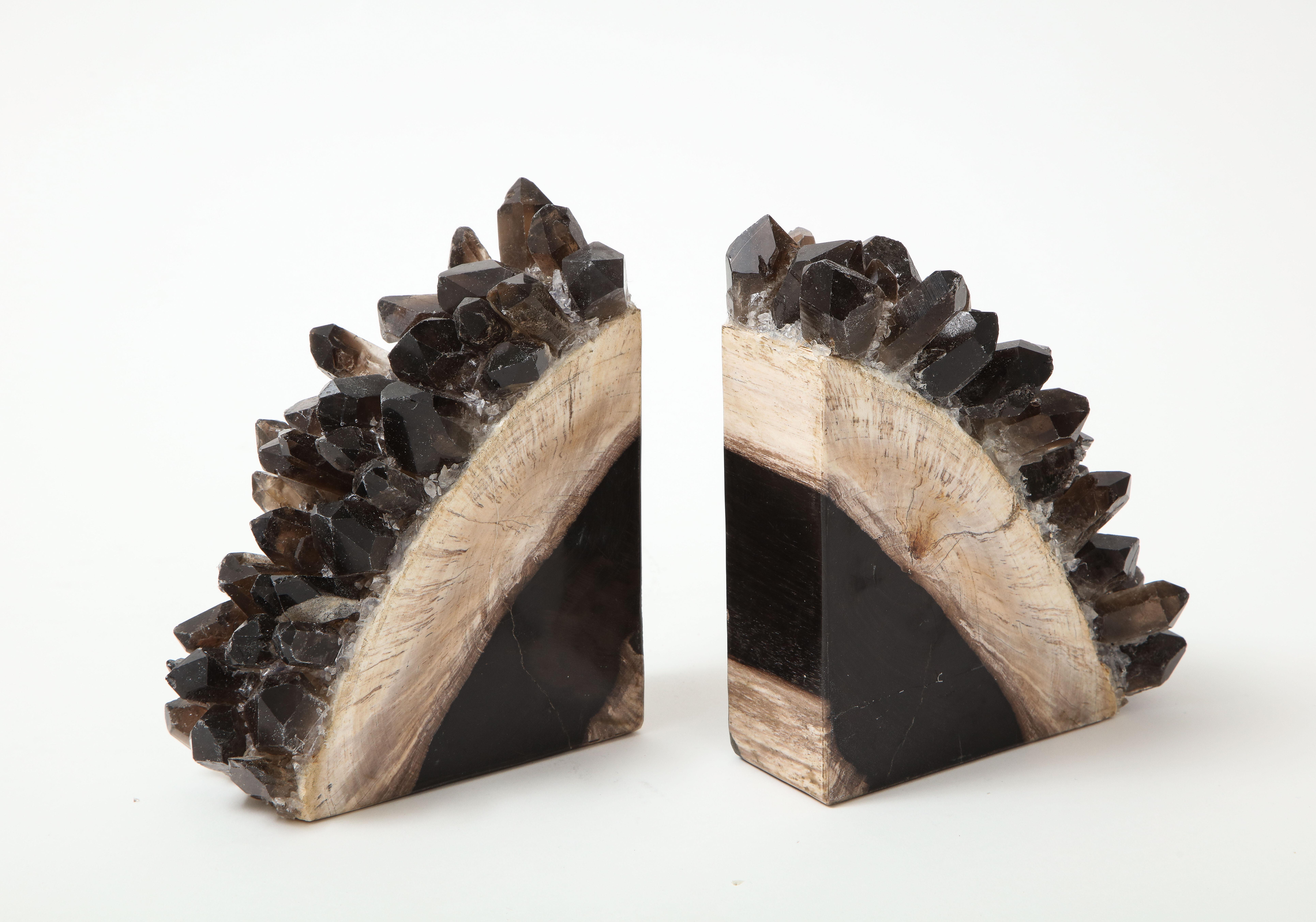 Set of eye catching bookends featuring petrified wood slices in black and natural coloring with black quartz accents.