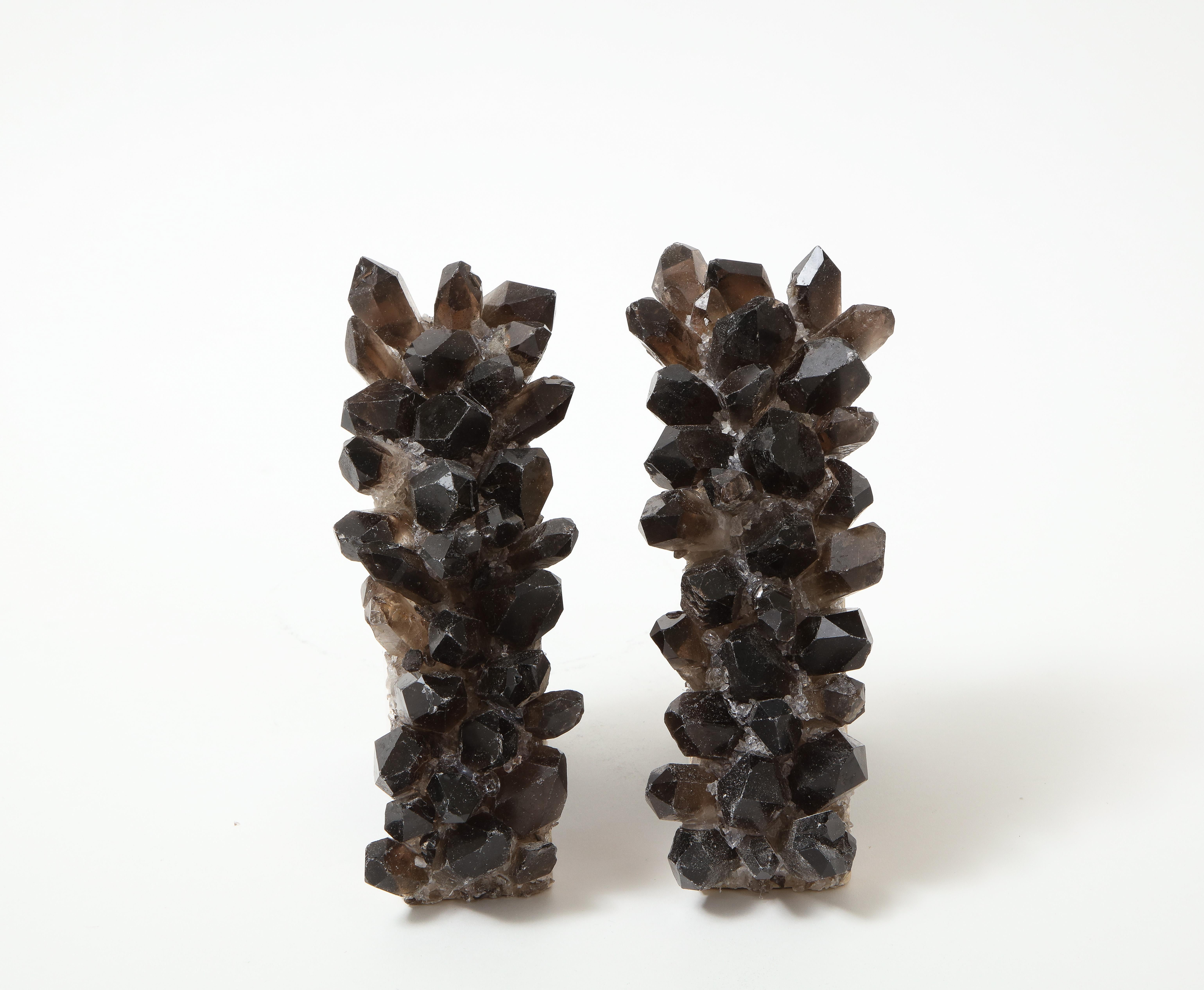 Organic Modern Black, Natural Petrified Wood Bookends