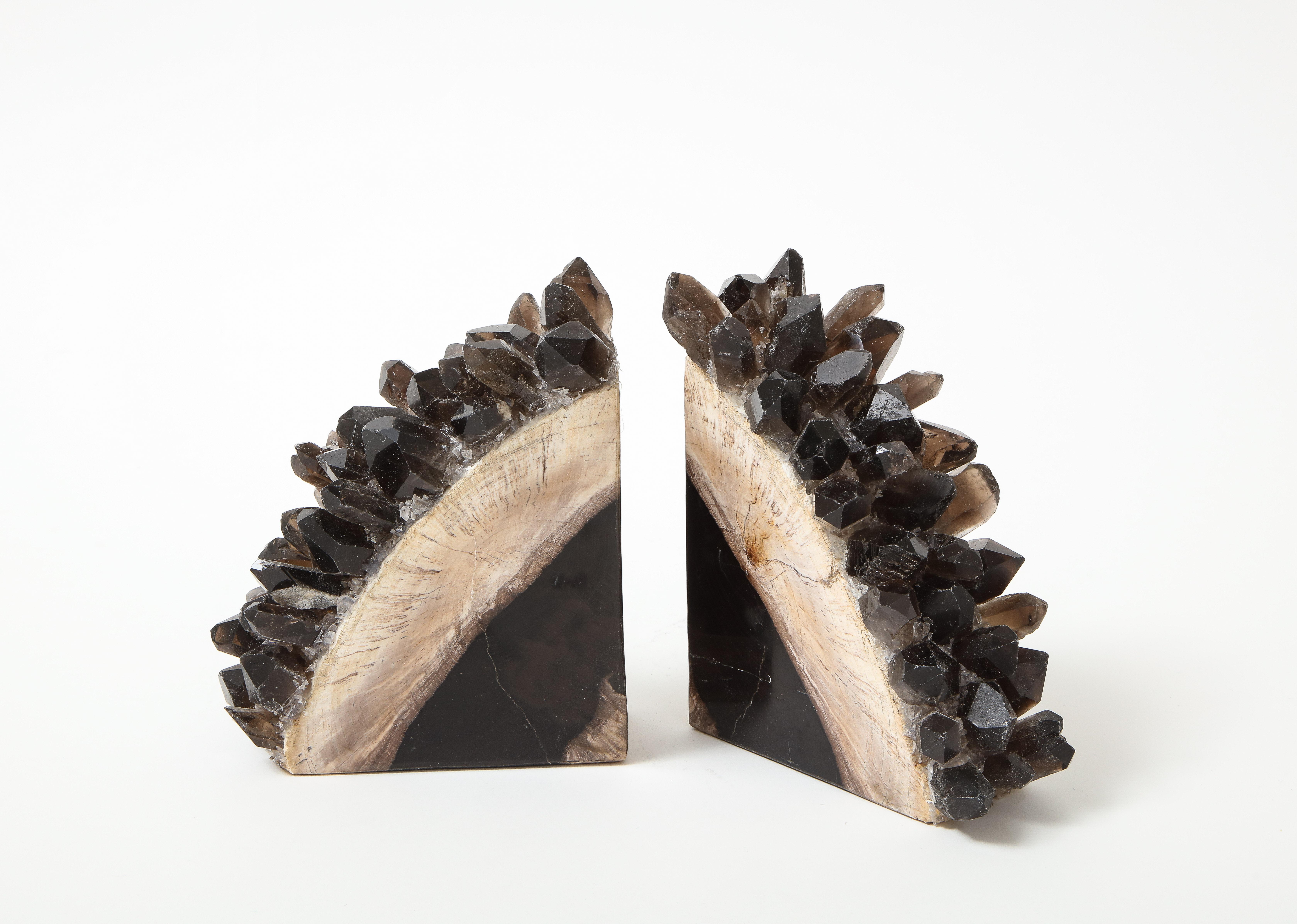 American Black, Natural Petrified Wood Bookends