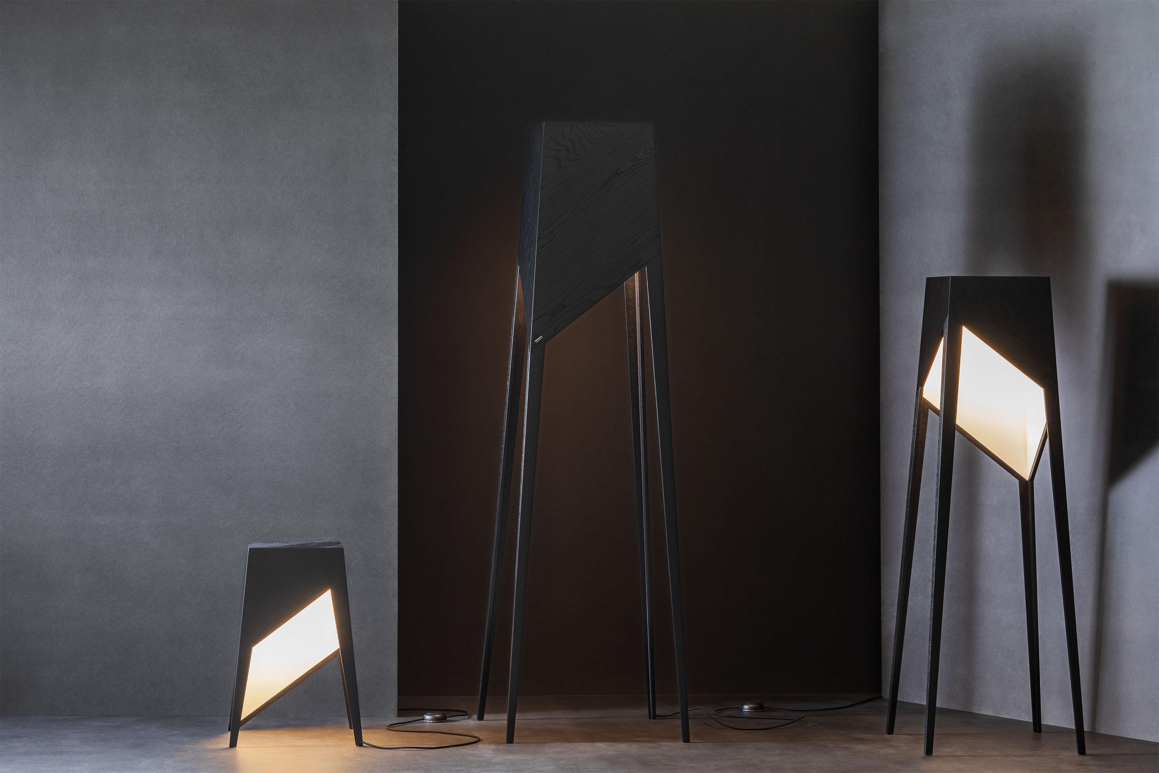 German Black Oak Luise Floor Lamp by Matthias Scherzinger For Sale