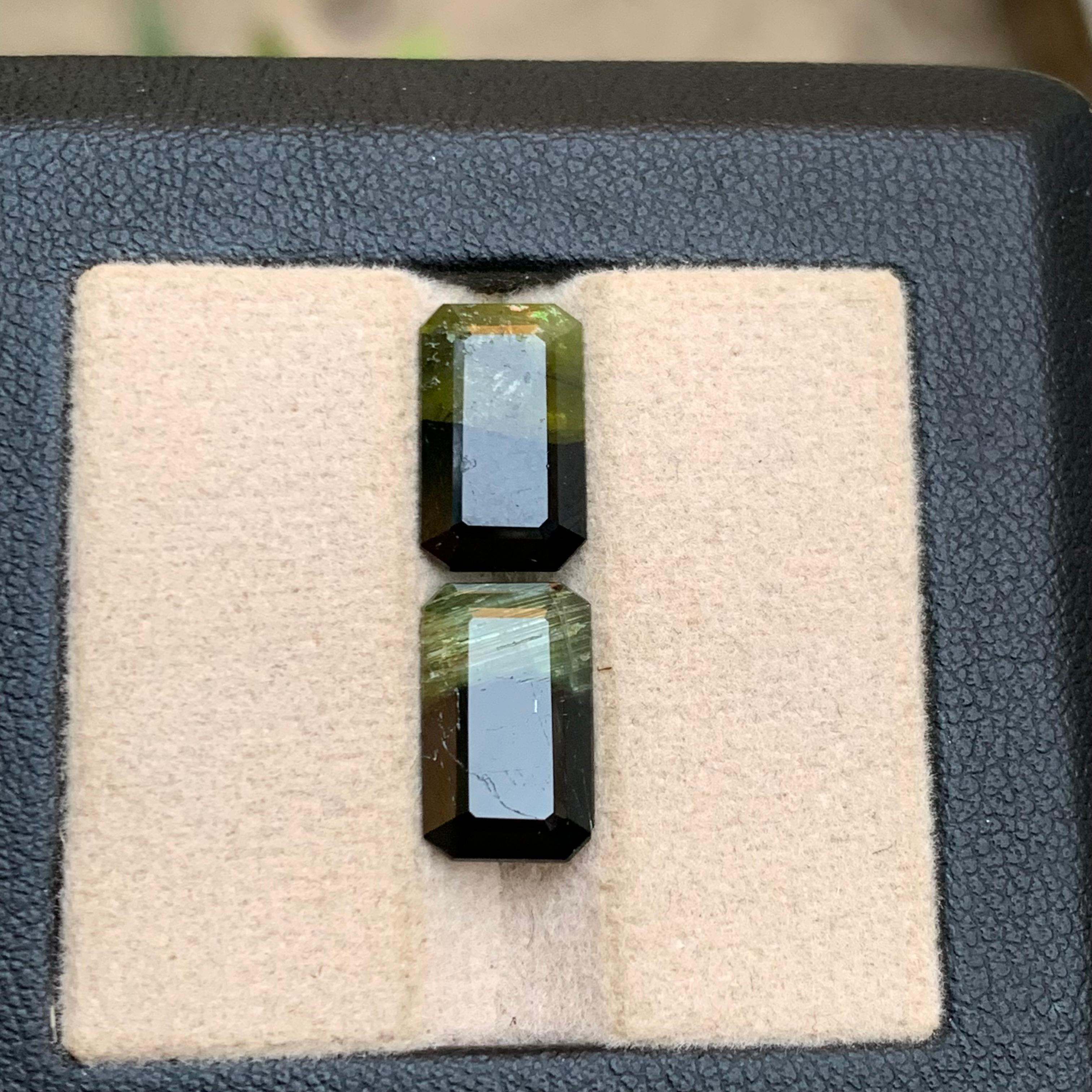 Paar Bicolor-Edelsteine aus natürlichem Turmalin in Schwarz & Olivgrün mit 7,70 Karat im Smaragdschliff im Angebot 7