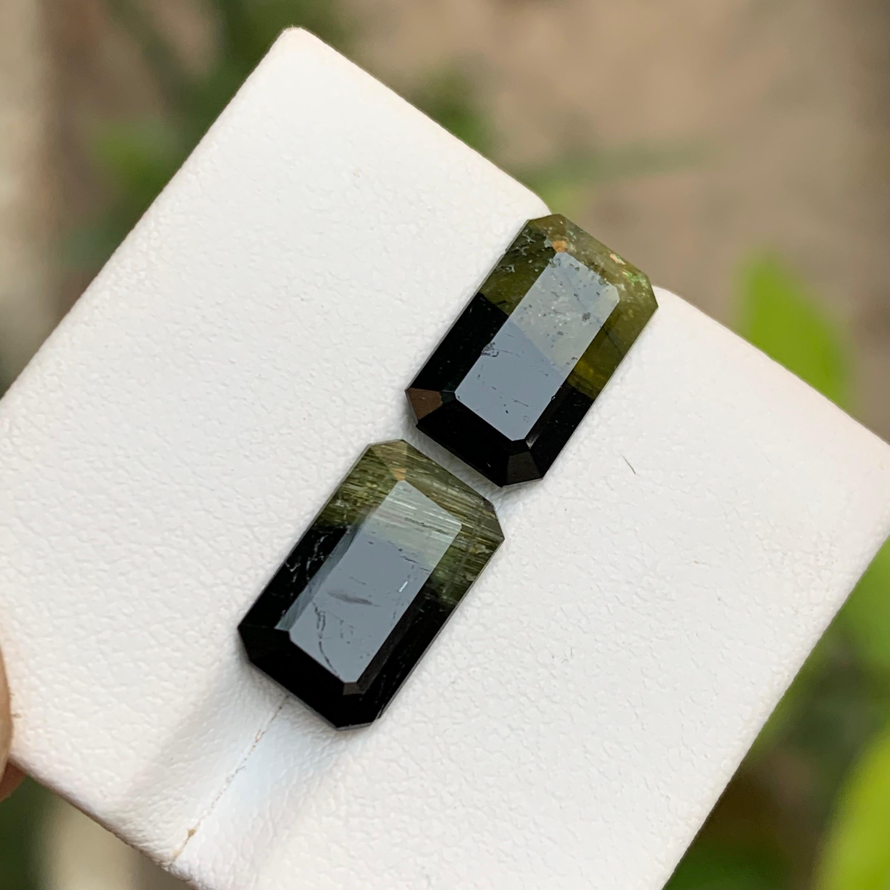 Paar Bicolor-Edelsteine aus natürlichem Turmalin in Schwarz & Olivgrün mit 7,70 Karat im Smaragdschliff im Angebot 8