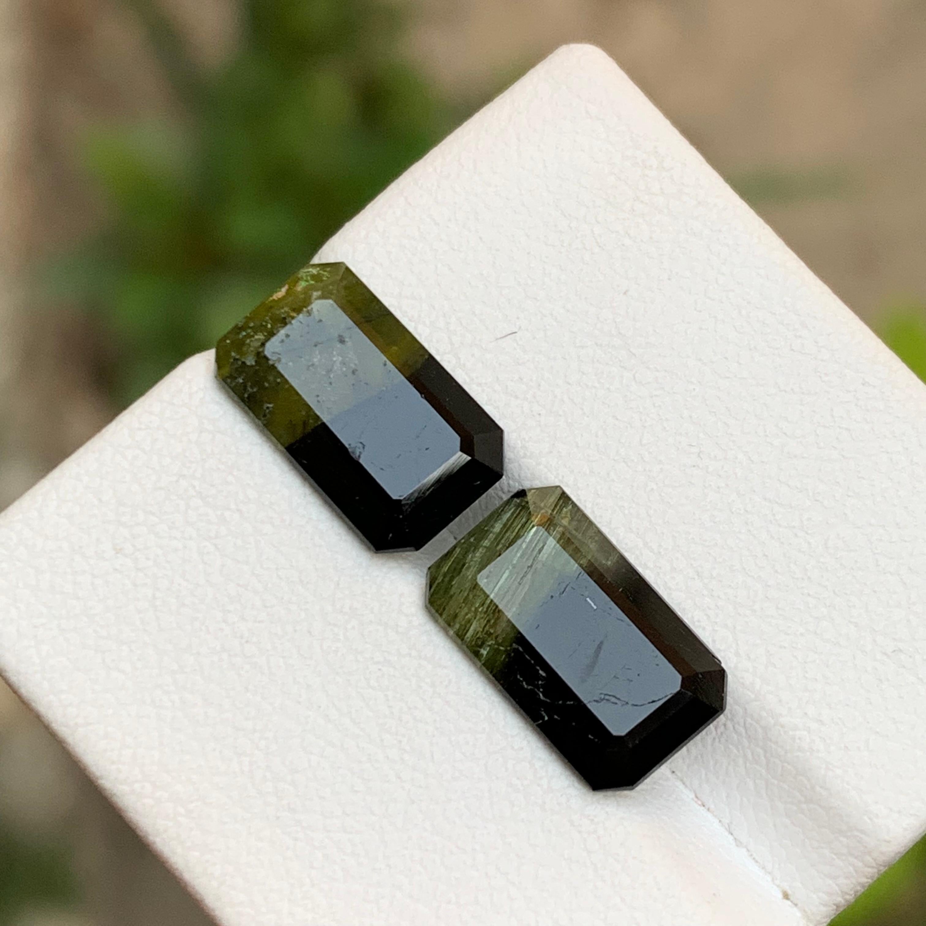 Paar Bicolor-Edelsteine aus natürlichem Turmalin in Schwarz & Olivgrün mit 7,70 Karat im Smaragdschliff (Zeitgenössisch) im Angebot