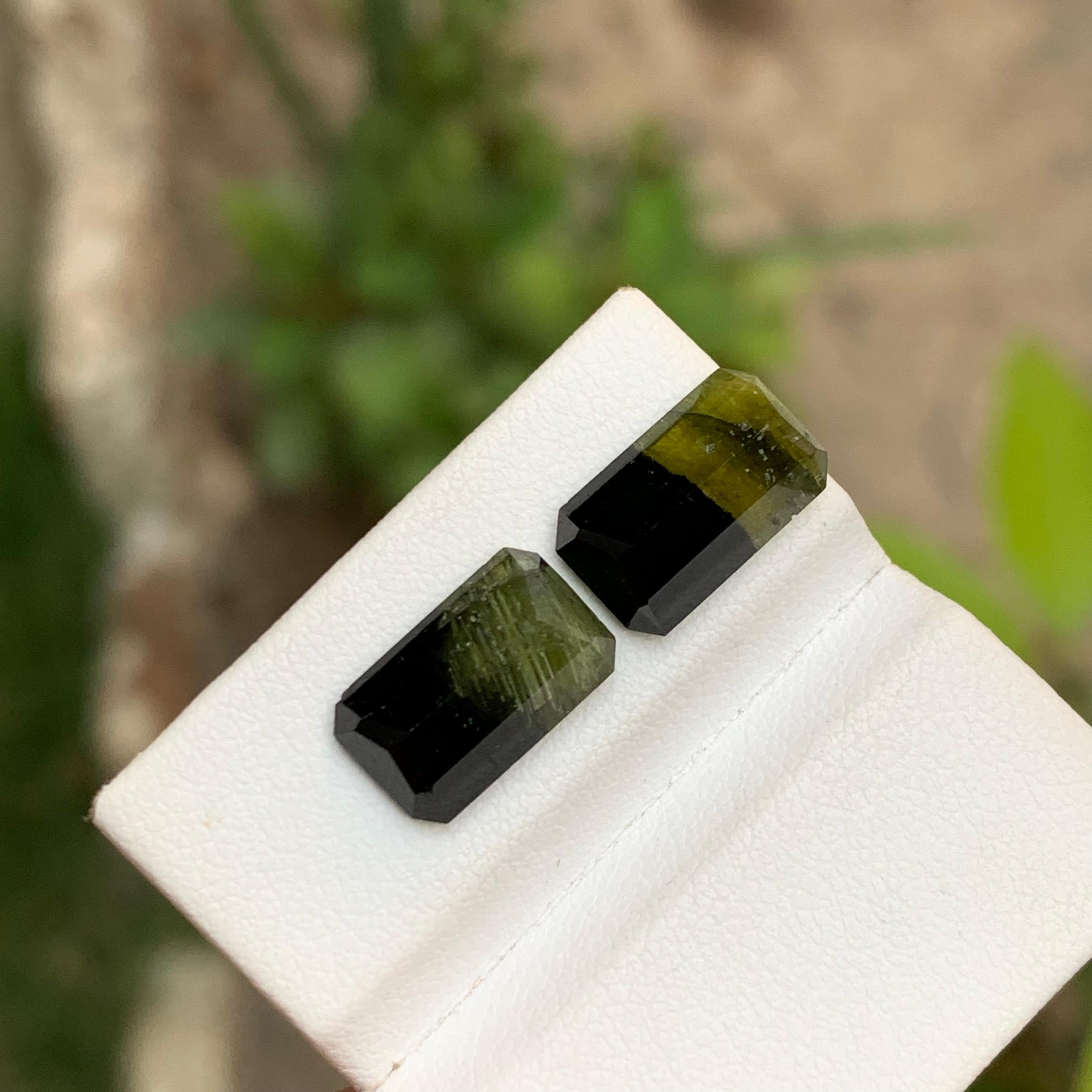 Paar Bicolor-Edelsteine aus natürlichem Turmalin in Schwarz & Olivgrün mit 7,70 Karat im Smaragdschliff für Damen oder Herren im Angebot