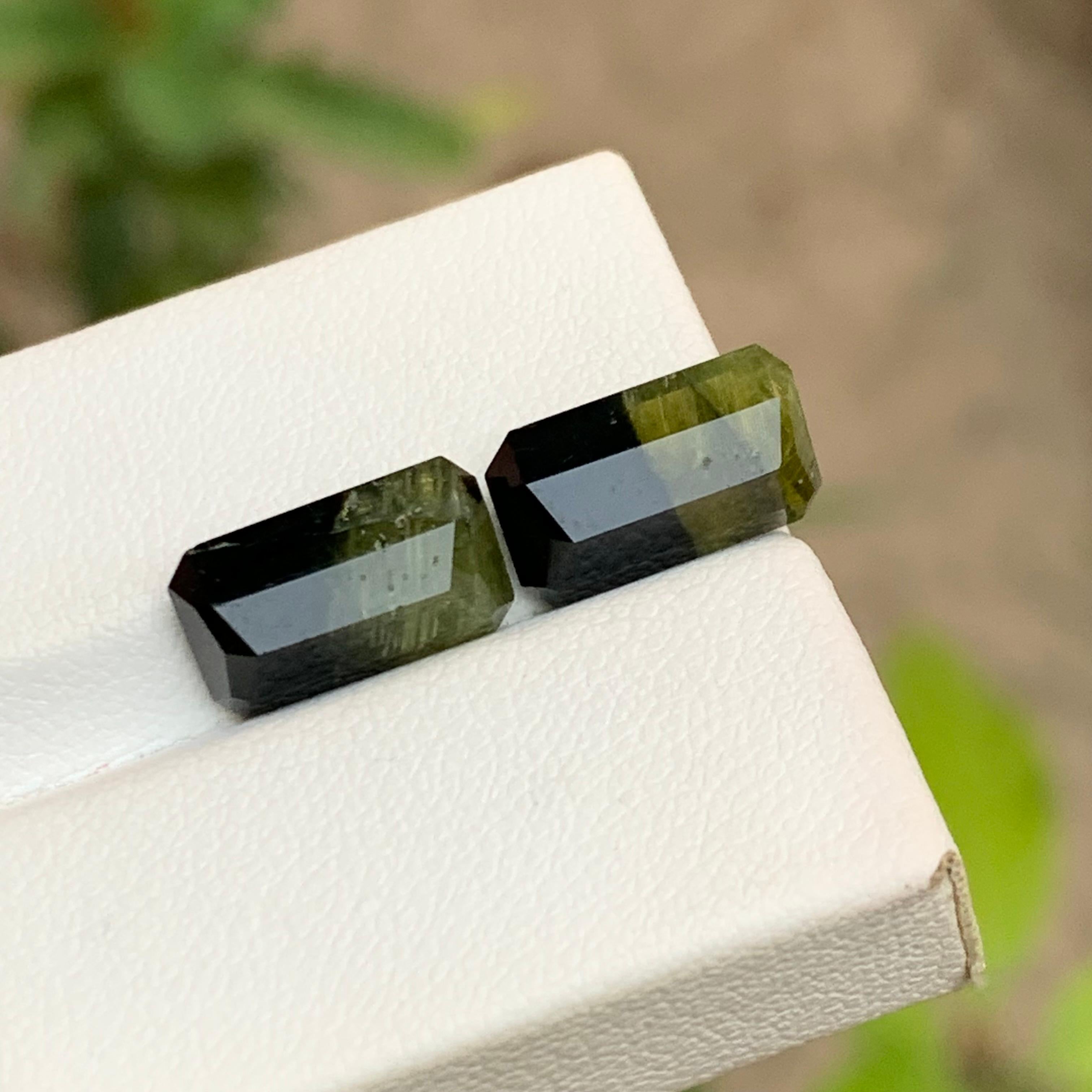 Paar Bicolor-Edelsteine aus natürlichem Turmalin in Schwarz & Olivgrün mit 7,70 Karat im Smaragdschliff im Angebot 2