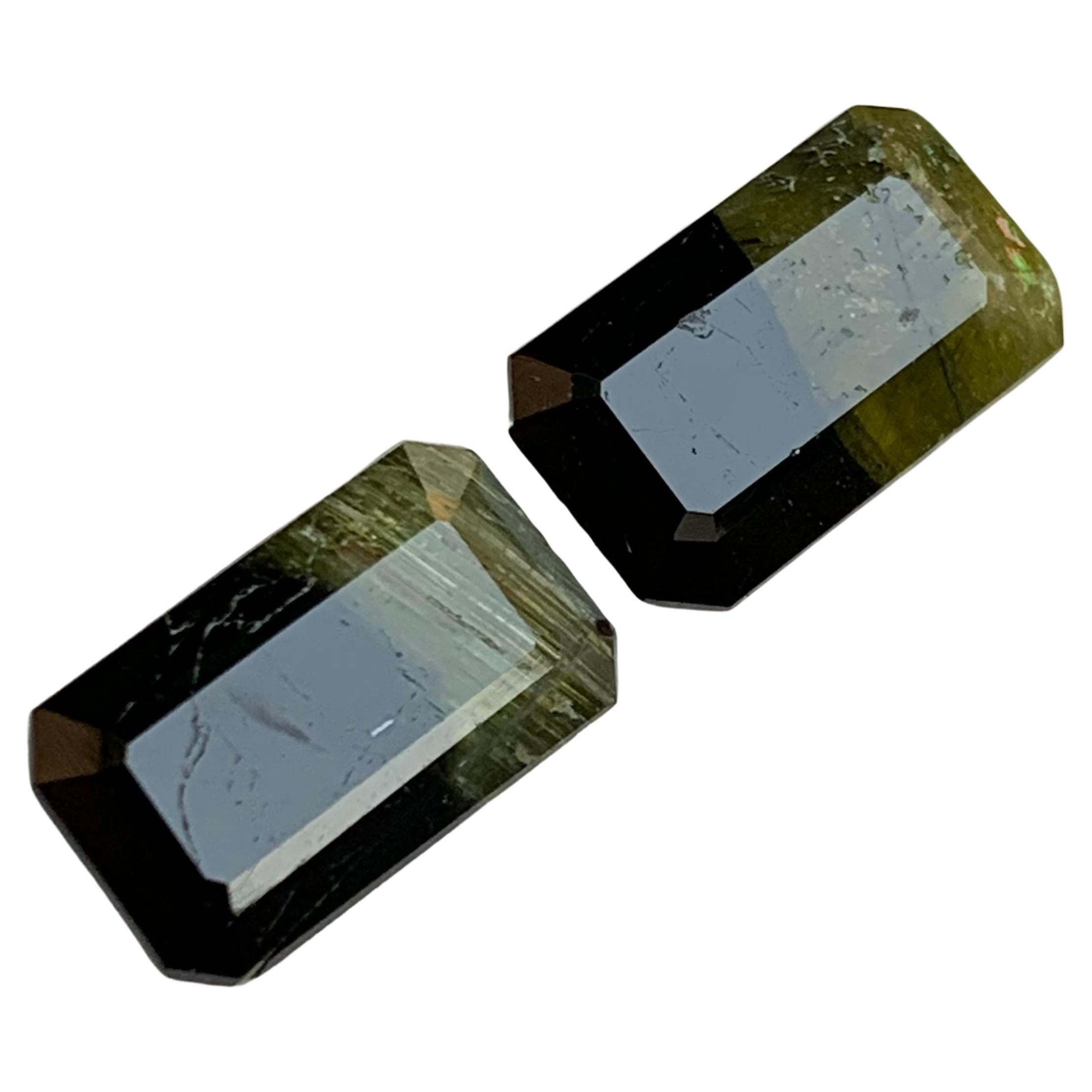 Black & Olive Green Bicolor Natural Tourmaline Gemstone Pair 7.70 Ct Emerald Cut