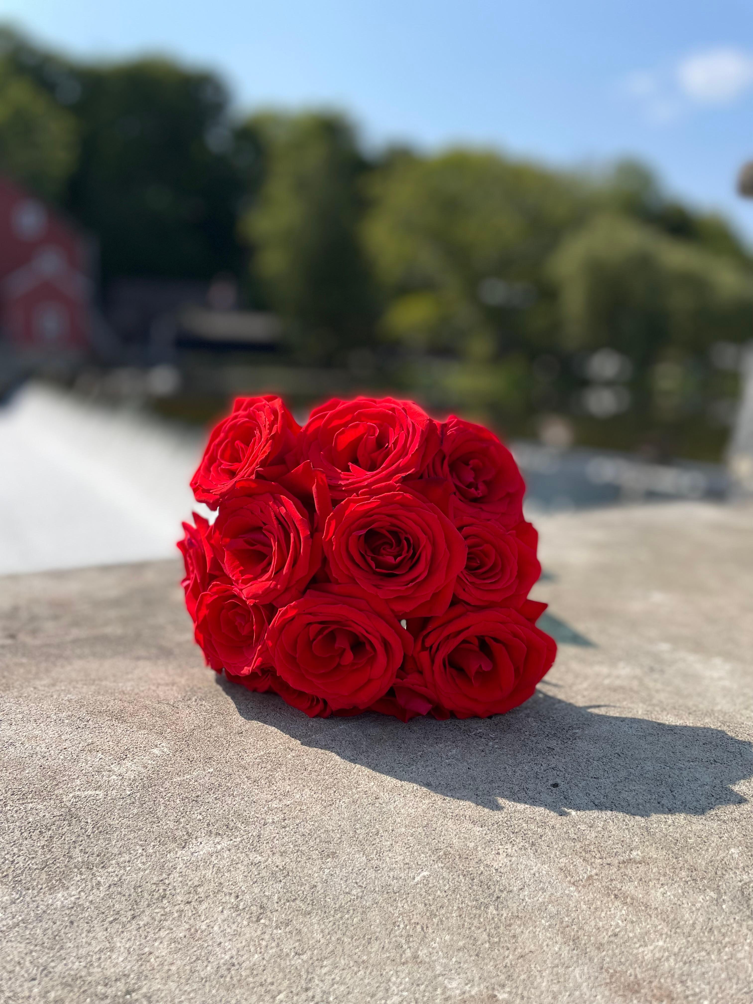 Ce mala artisanal de 108 perles de roses est une symphonie de roses rouges et roses, chantant leurs histoires séculaires d'amour, de passion et de force délicate.

Roulés à la main avec dévouement et sens artistique. Les roses ne sont que la moitié