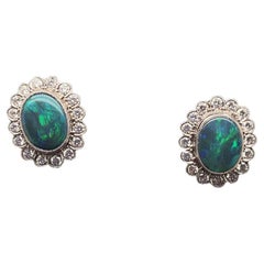 Black Opal and Diamond Oval Cluster Stud Earrings in 18 Karat White Gold