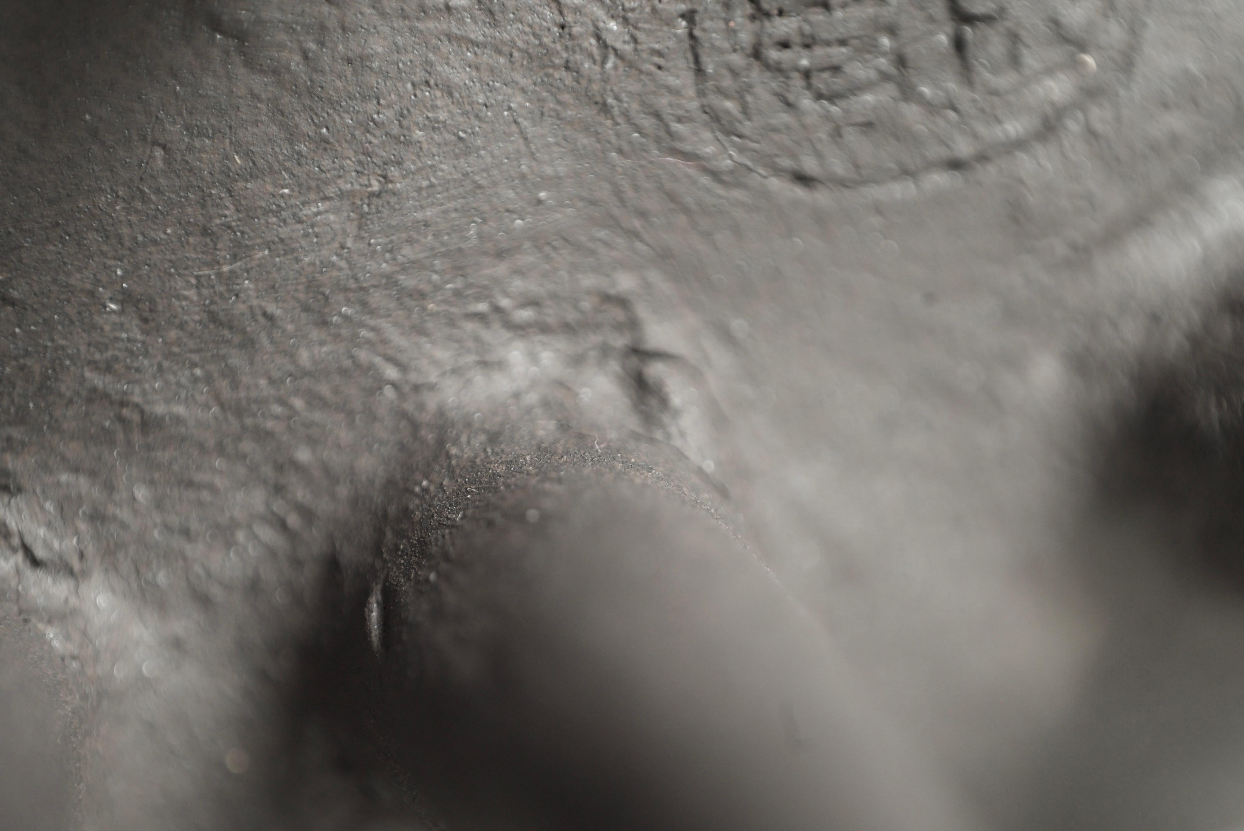 XXI secolo e contemporaneo Scultura ovale nera in ceramica con 2 file di piccoli piedi a punta in vendita