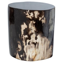 Tavolino ovale nero in Wood pietrificato