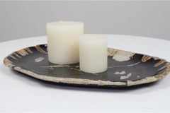 Black Oval Shaped Petrified Wooden Platter, Ancient Organic Home Accessory