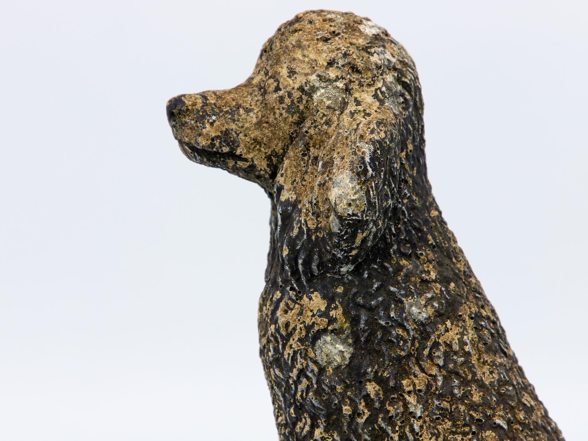 Black Painted Concrete Dog Poodle Garden Ornament, France 20th Century 2