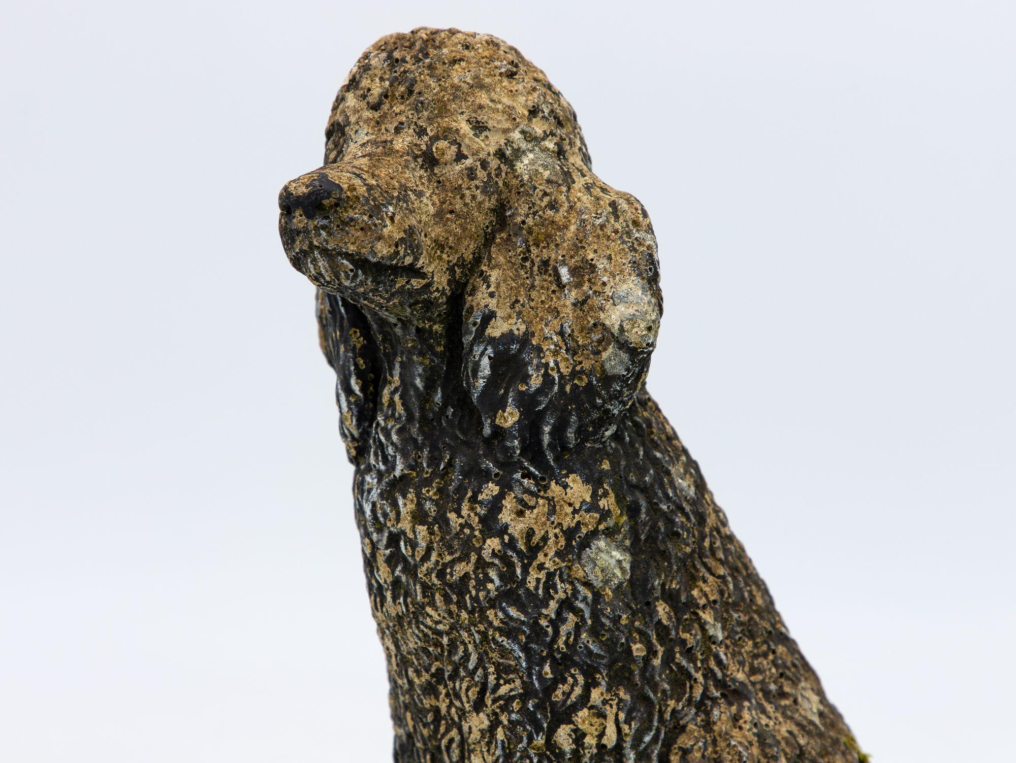 Black Painted Concrete Dog Poodle Garden Ornament, France 20th Century 3
