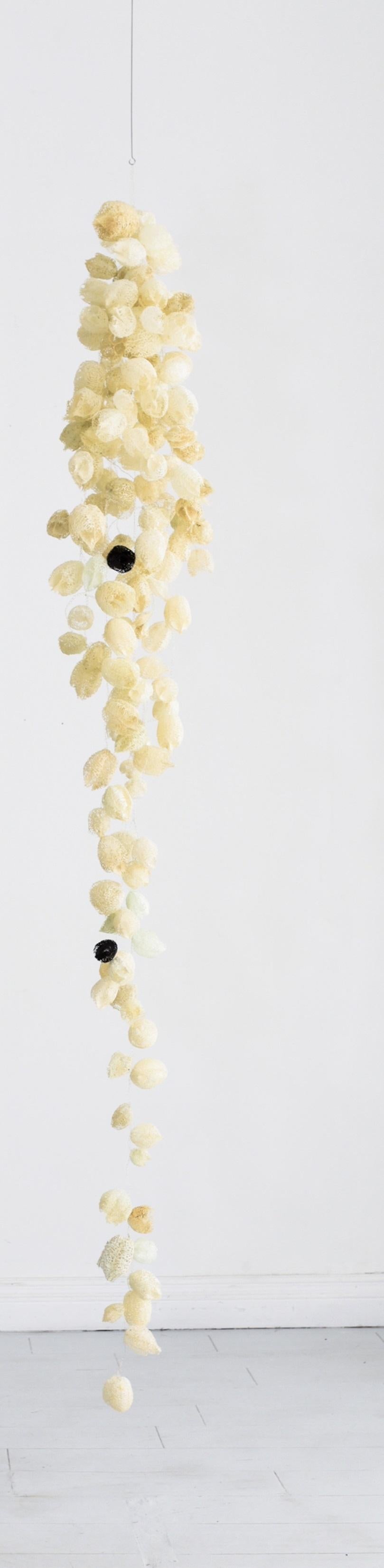 Sculpture suspendue en perles noires de Karolina Maszkiewicz
Unique en son genre.
Dimensions : D 33 x L 33 x H 200,7 cm. 
Matériaux : Fil métallique et gousses de concombre sauvage.

Karolina Maszkiewicz est une artiste américaine d'origine