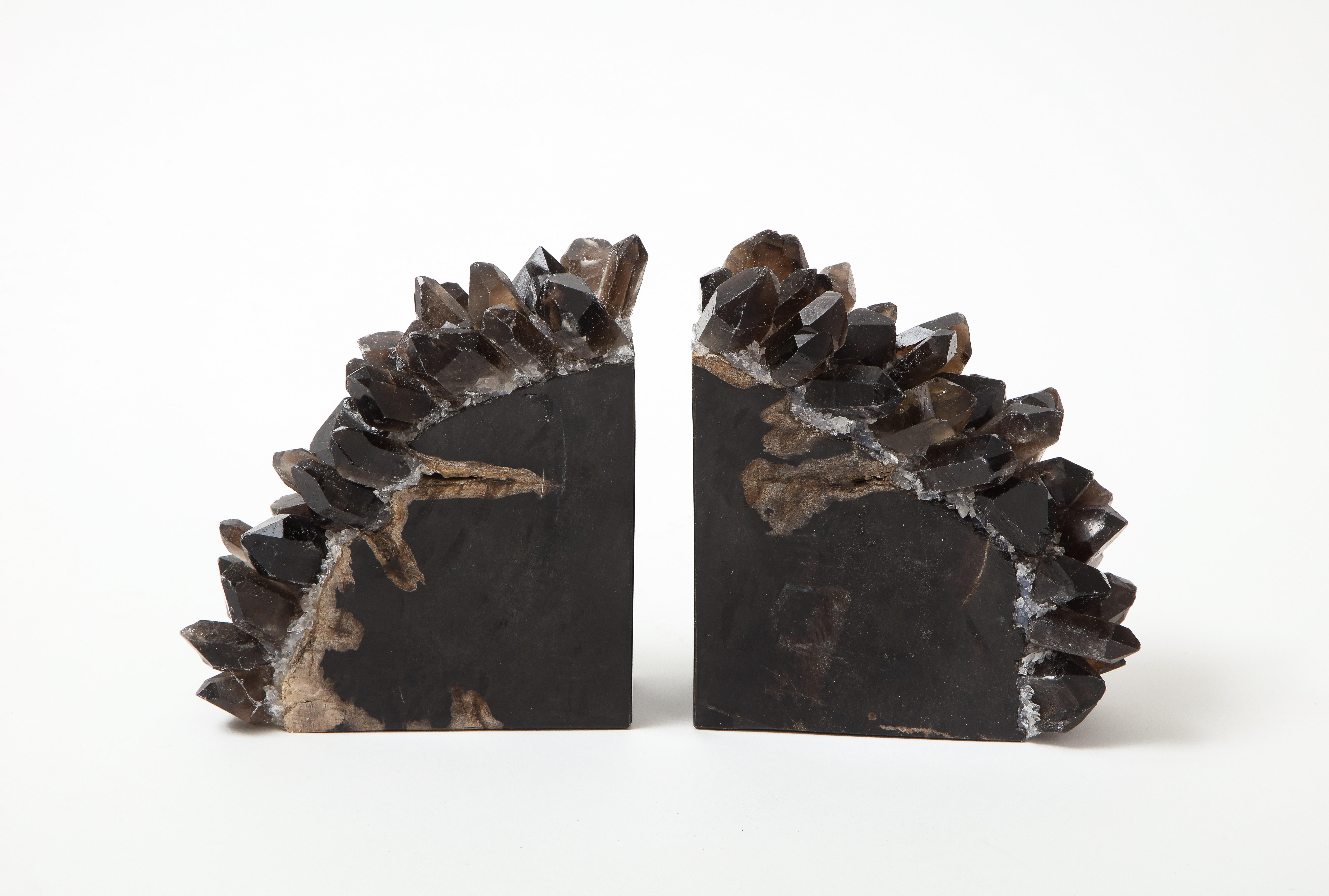 Set of custom made sculptural bookends made from prehistoric petrified wood and black crystal quartz.
