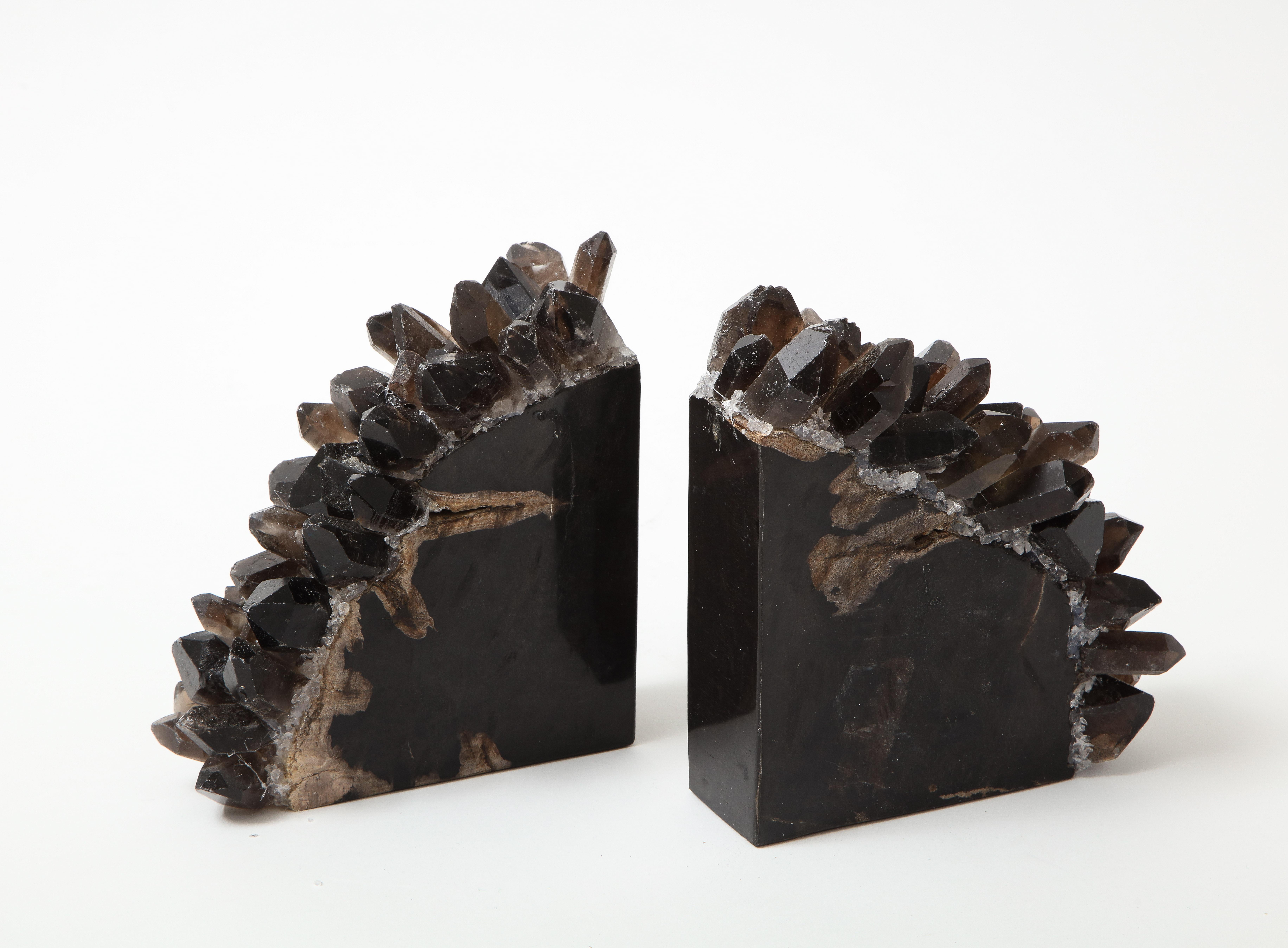 Organic Modern Black Petrified Wood Bookends