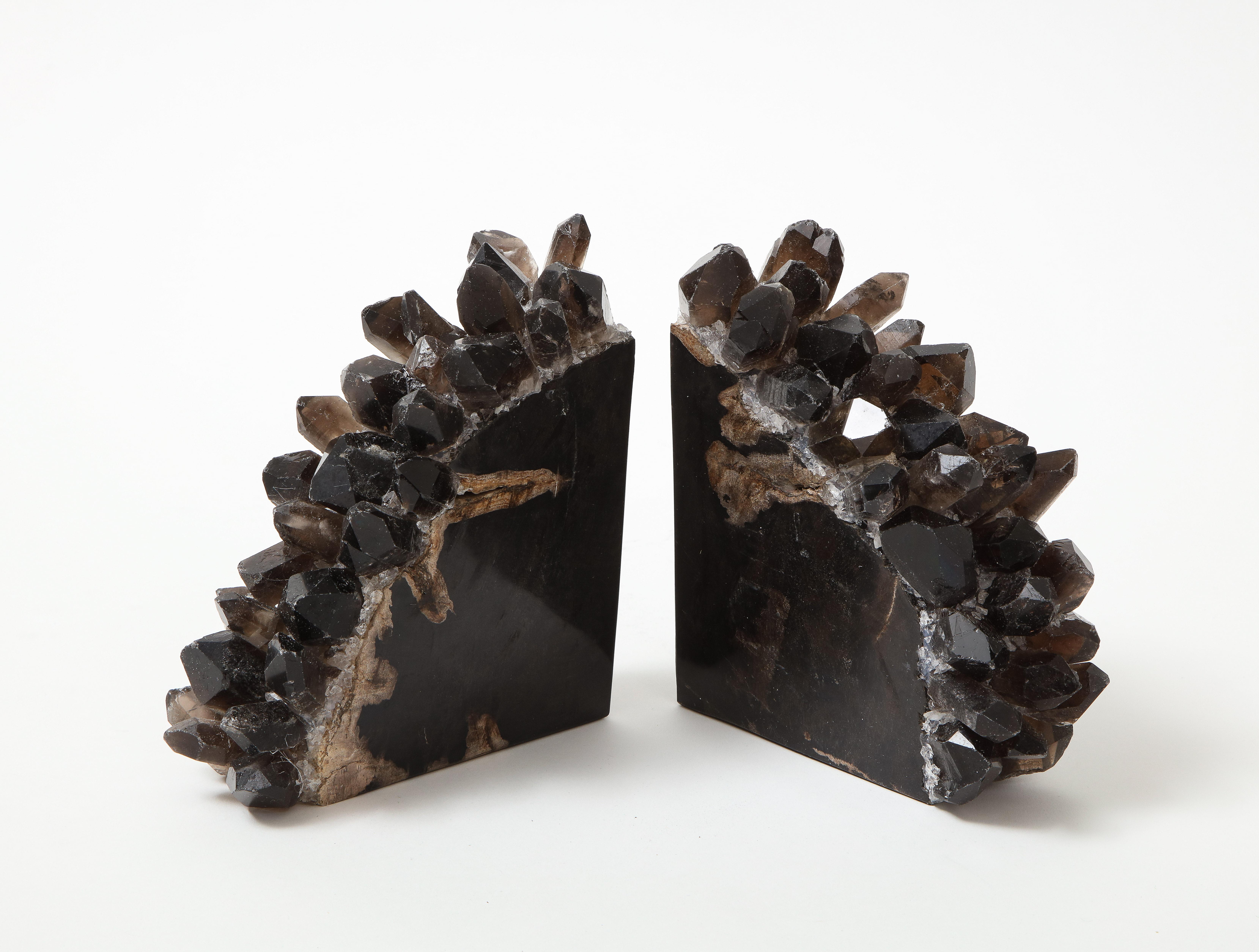 American Black Petrified Wood Bookends