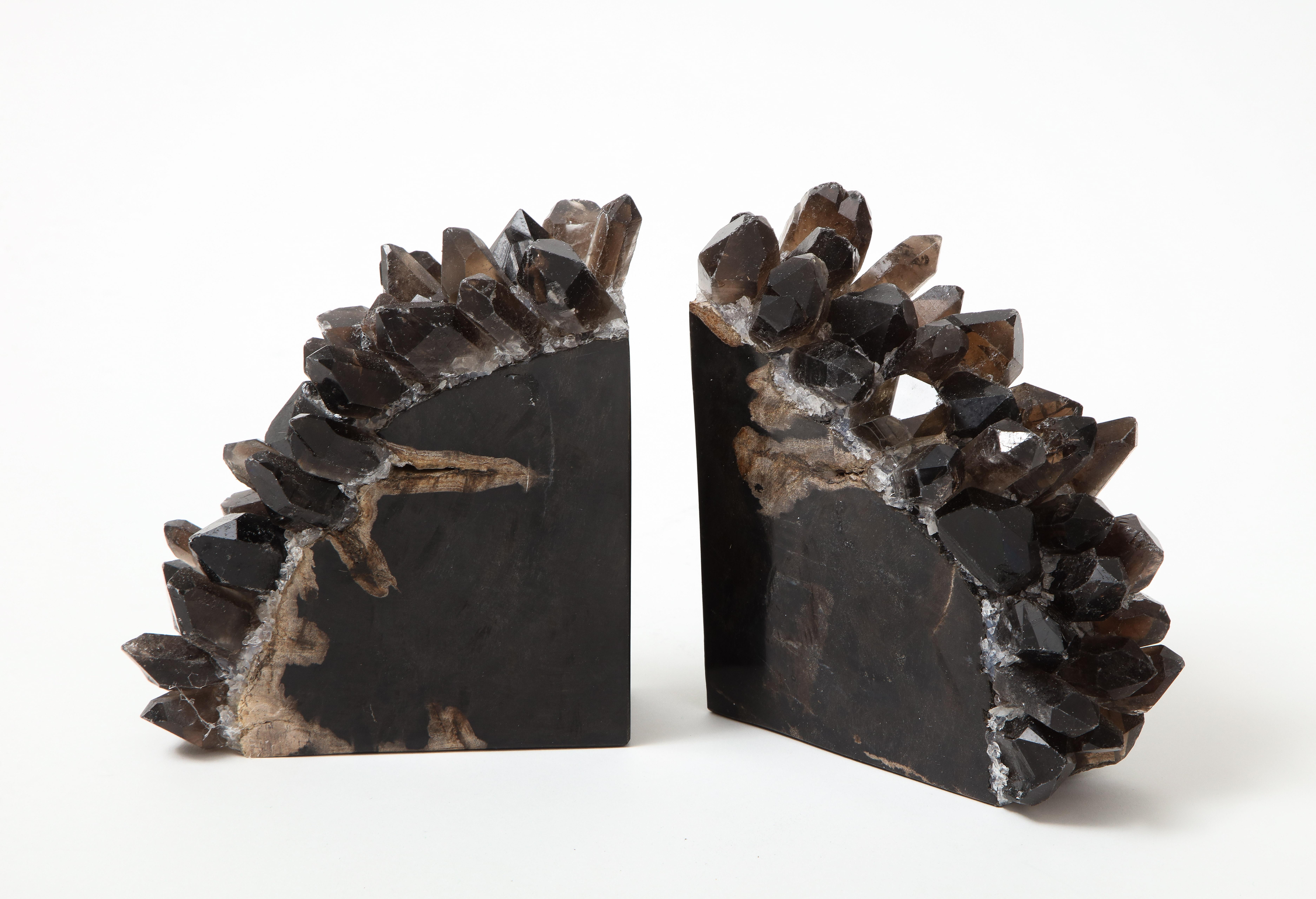Hand-Crafted Black Petrified Wood Bookends