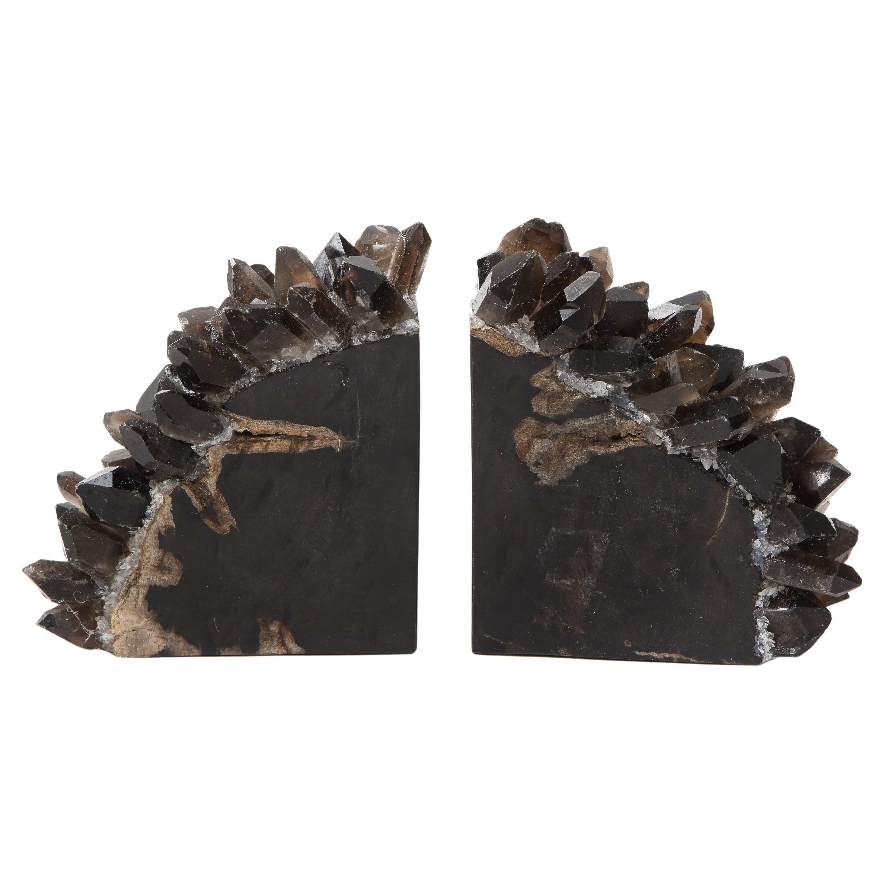 Black Petrified Wood Bookends For Sale