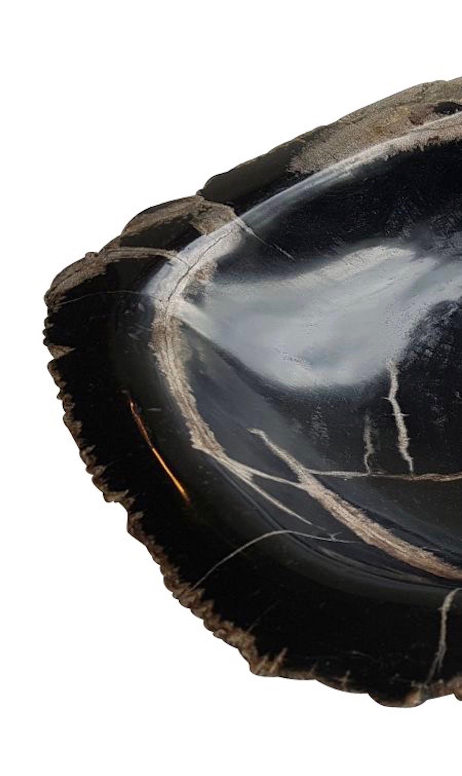 Indonesian petrified wood organically shaped bowl.
Predominantly black in color with light brown veins.
ARRIVING TBD.