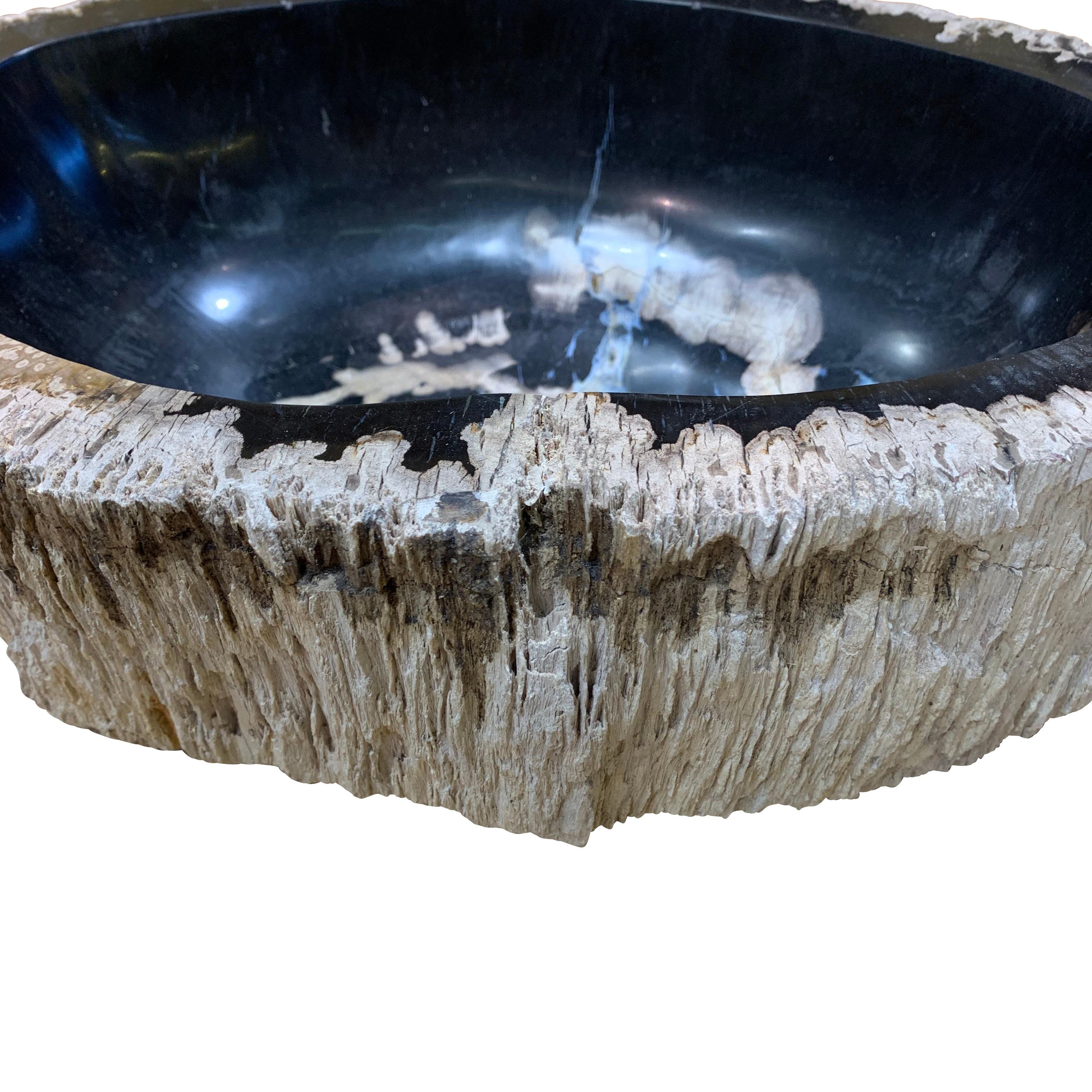 Indonesian Black Petrified Wood Bowl, Indonesia, Prehistoric