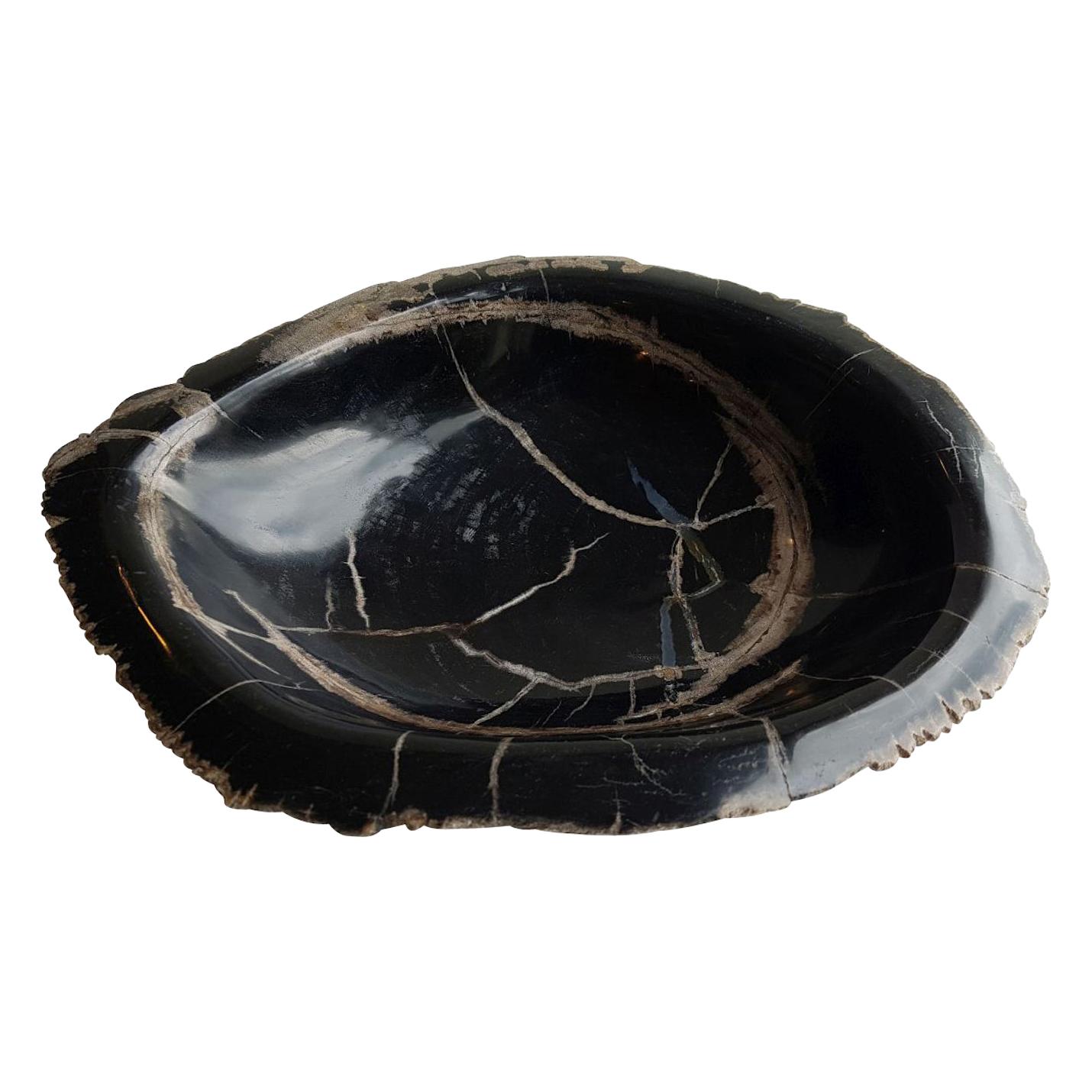 Black Petrified Wood Bowl, Indonesia, Prehistoric