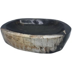 Black Petrified Wood Catchall Dish
