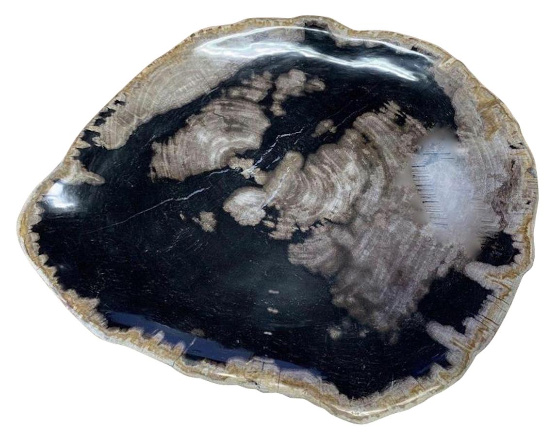 Indonesian petrified wood plate.
Predominantly black in color.
 