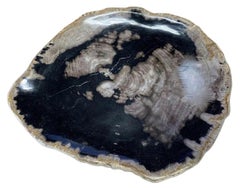 Black Petrified Wood Plate, Indonesia, Prehistoric