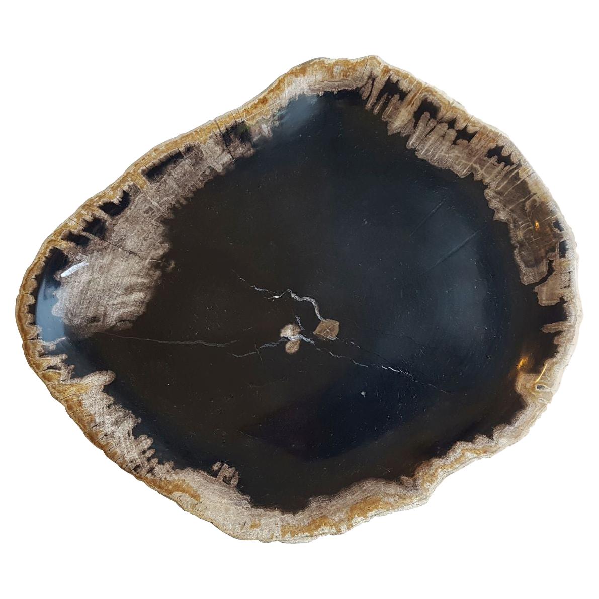 Black Petrified Wood Catchall Dish at 1stDibs