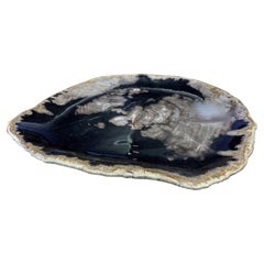 Black Petrified Wood Plate, Indonesia, Prehistoric