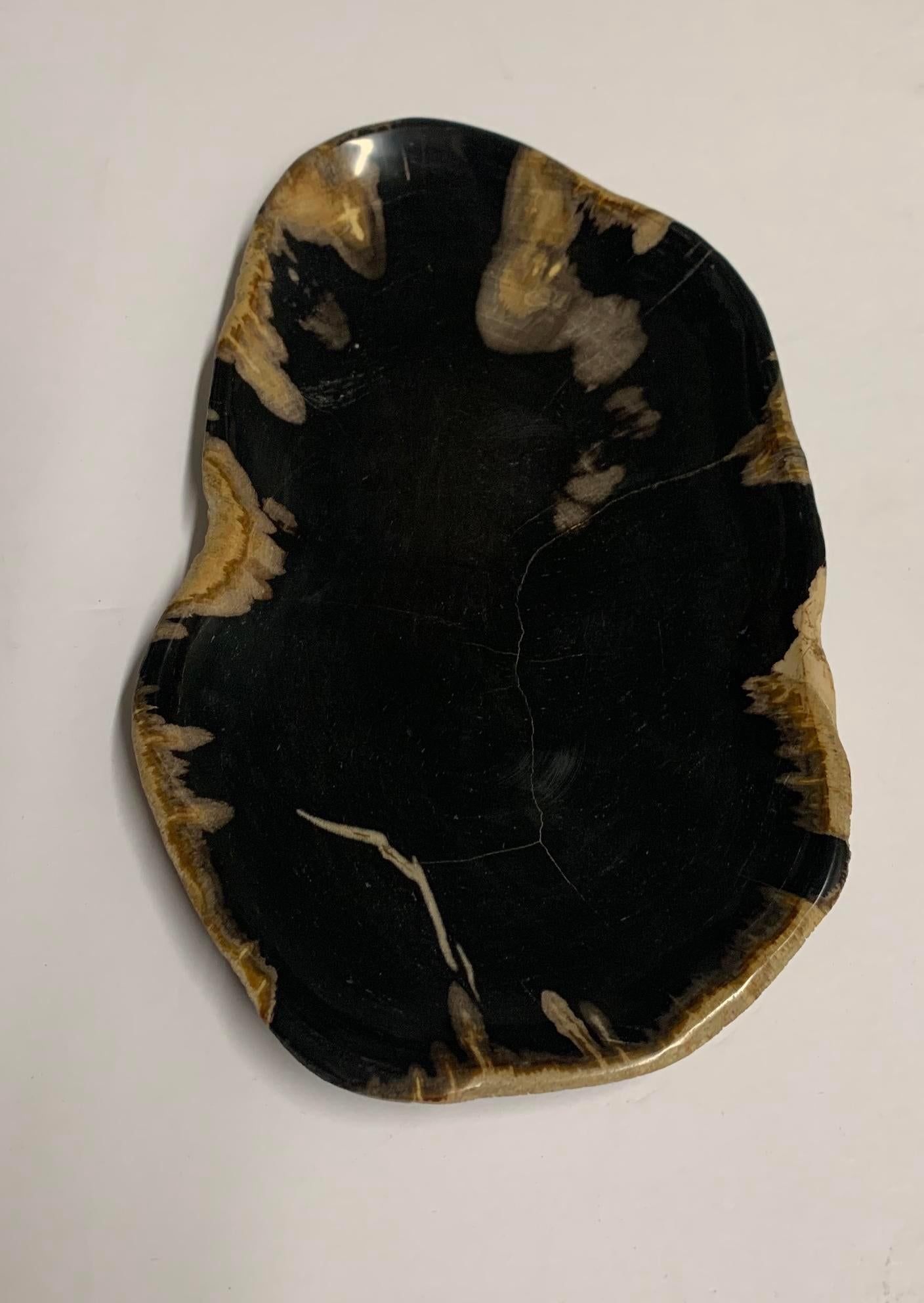 Black Petrified Wood Shallow Bowl, Indonesia, Prehistoric In Good Condition In New York, NY