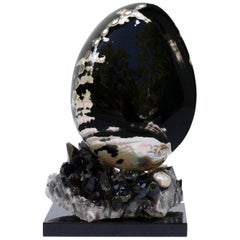 Black Polished Abalone Shell on Black Crystal
