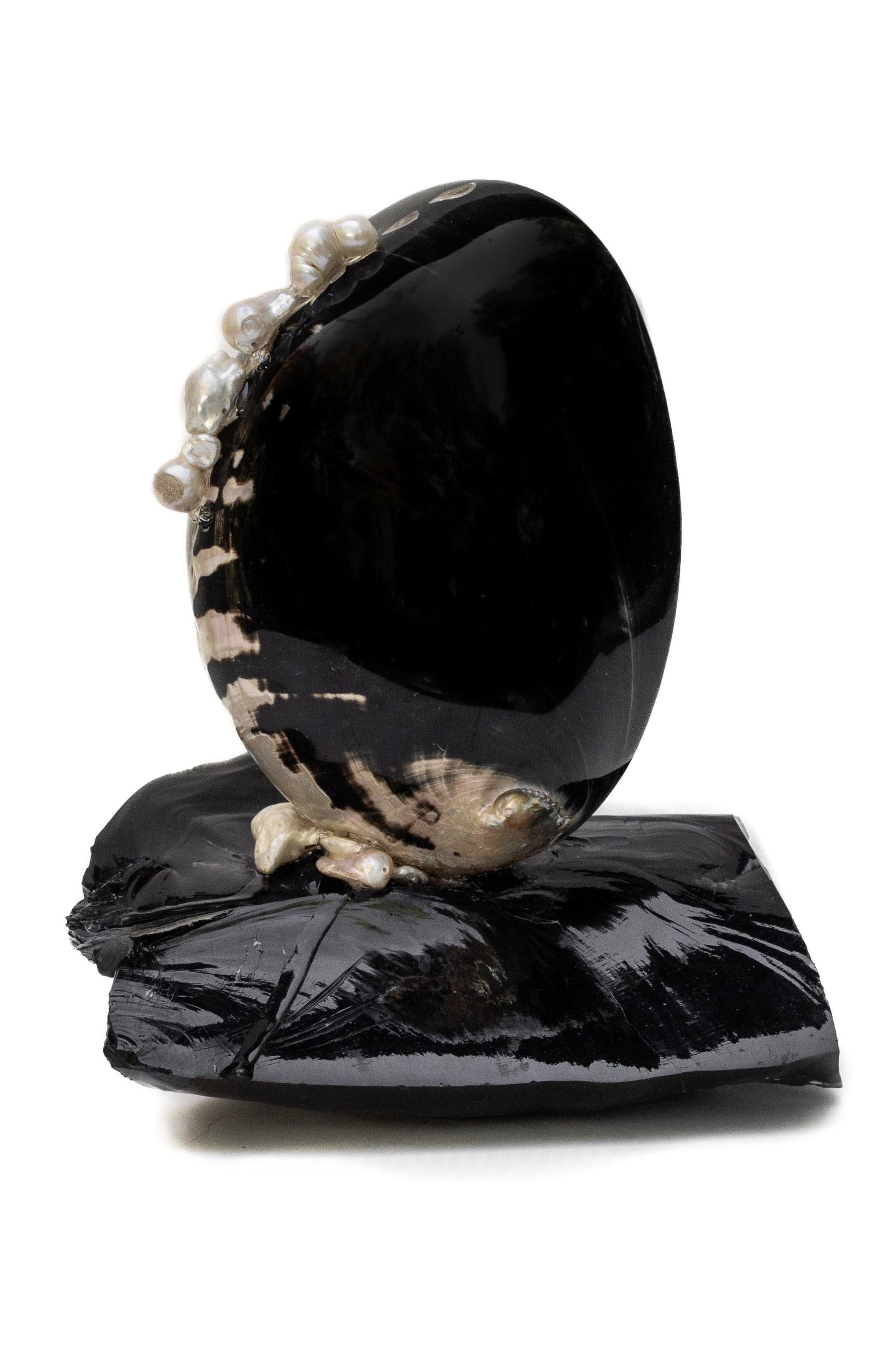 Abalone noir poli sur obsidienne avec perles baroques. 

Les coquilles d'ormeau sont connues pour leurs caractéristiques iridescentes et nacrées. Cette forme rare d'ormeau a une coquille extérieure essentiellement noire, difficile à trouver, qui se