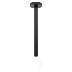 Black Profiles Pendant Light by Atelier Areti
