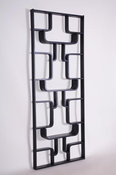 Black Room Divider Wall Unit by Ludvik Volak for Drevopodnik Holesov, 1960s