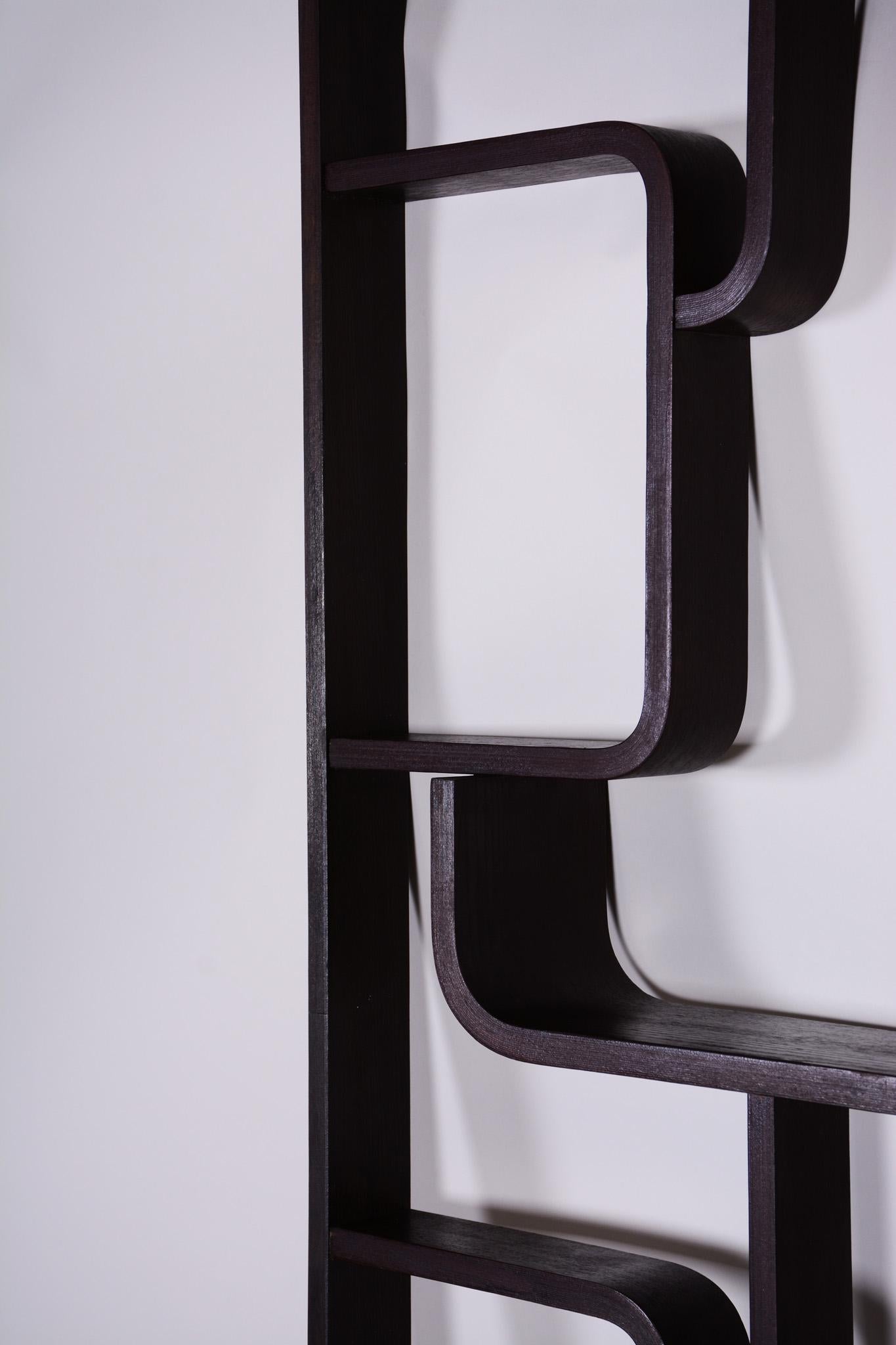 Mid-Century Modern Black Room Divider Wall Unit by Ludvik Volak for Drevopodnik Holesov, 1960s