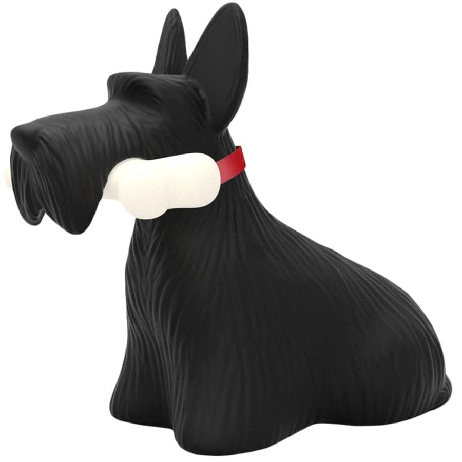 In Stock in Los Angeles, Black Scottie Dog LED Lamp, by Stefano Giovannoni