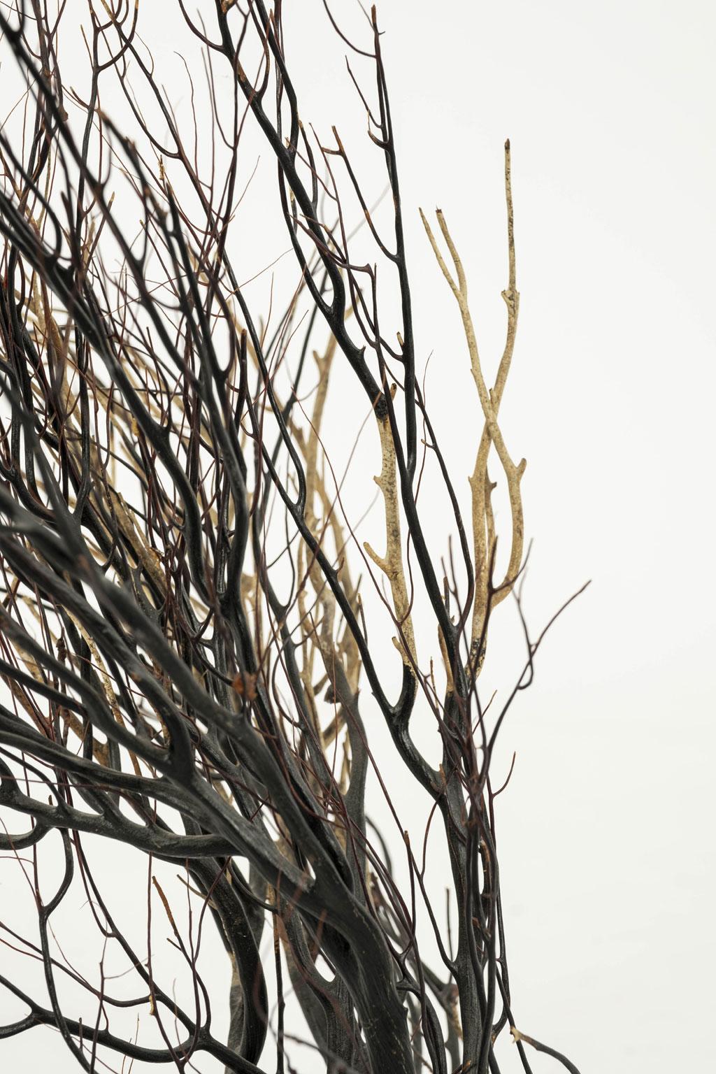 Black Sea Whip Coral Sculpture In Good Condition In Houston, TX