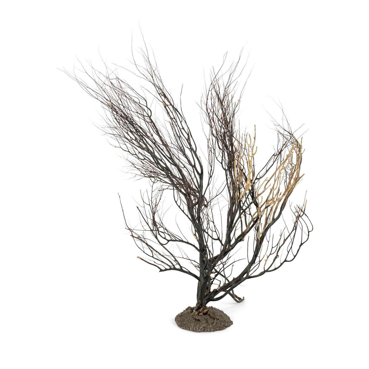 Black Sea Whip Coral Sculpture 1