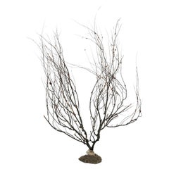 Black Sea Whip Coral Sculpture