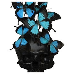 Black Skull "Ulysses Ulysses" Glass Butterfly Globe