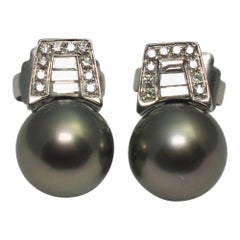Black South Sea Pearl Diamond Stud Earrings