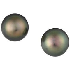 Black South Sea Pearl Earrings