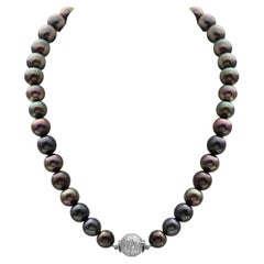 Black South Sea Pearl Necklace with an 18 Karat White Gold Diamond Ball Clasp