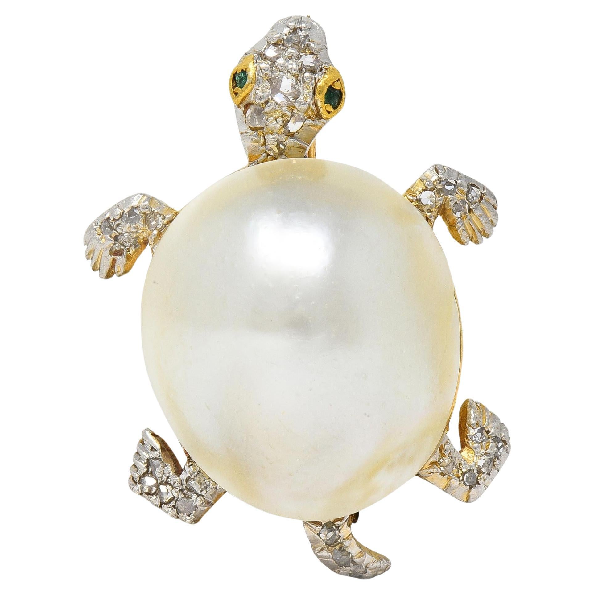 Antike Schildkrötennadel, Schwarzer Starr & Frost Edwardian Perle Diamant Platin 14K Gold