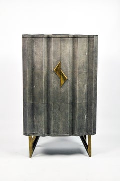 Black Stone and Shagreen Cabinet by Ginger Brown