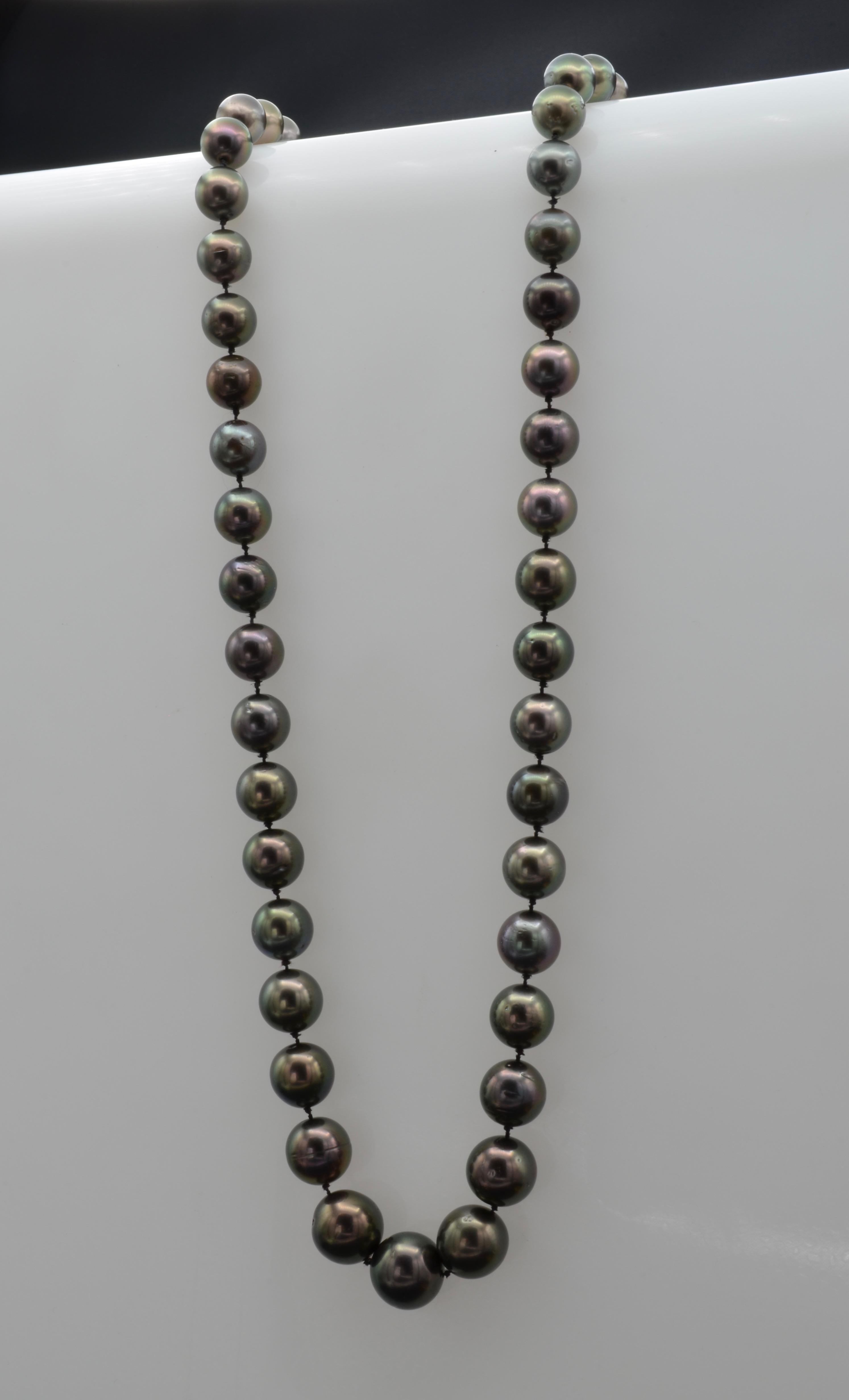 Black Tahiti Pearl Necklace with Ruby and Diamond Clasp 1