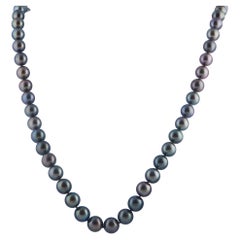 Black Tahitian Pearl Necklace MF03-012326