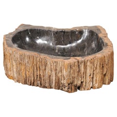 Black & Tan Petrified Wood Sink w/Live Edge